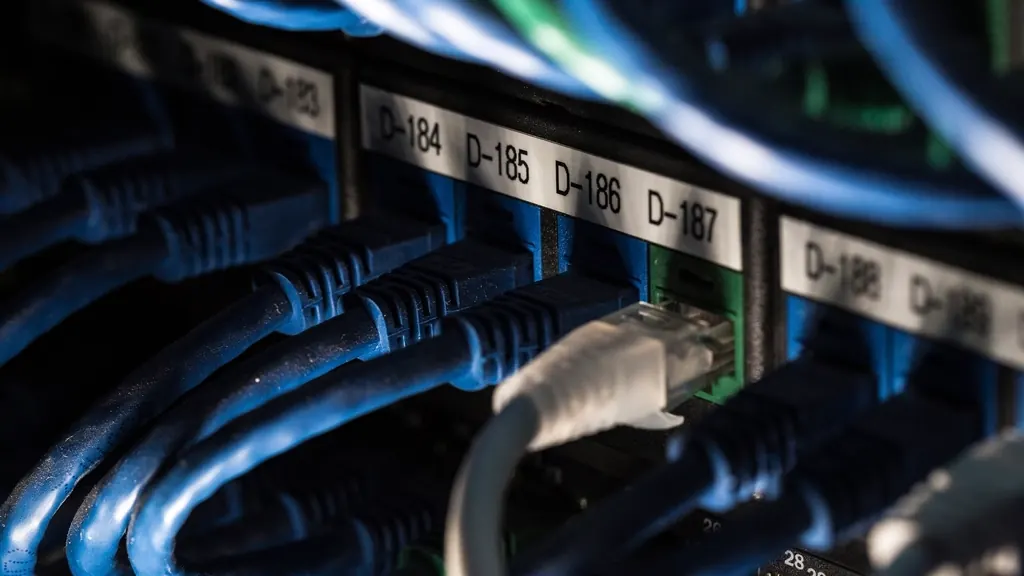 Labelled network ports with blue cables